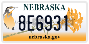 8E6931  license plate in NE