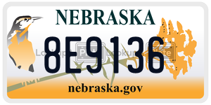8E9136  license plate in NE