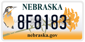 8F8183  license plate in NE