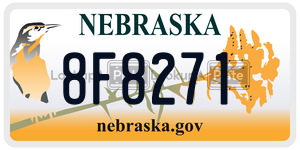 8F8271  license plate in NE