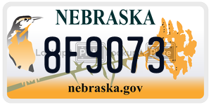8F9073  license plate in NE