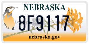 8F9117  license plate in NE