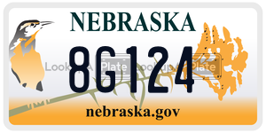 8G124  license plate in NE