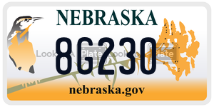 8G230  license plate in NE