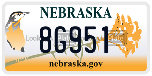 8G951  license plate in NE