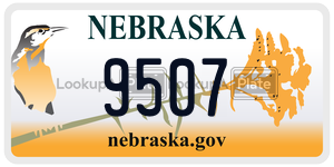 9507  license plate in NE