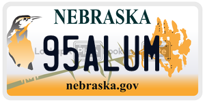 95ALUM  license plate in NE