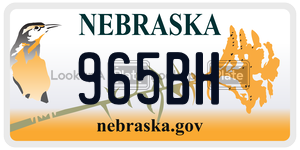 965BH  license plate in NE