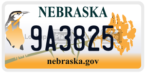 9A3825  license plate in NE