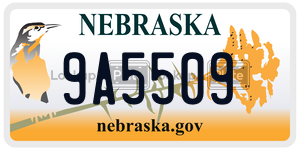 9A5509  license plate in NE