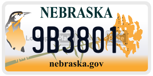 9B3801  license plate in NE
