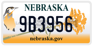 9B3956  license plate in NE