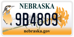 9B4809  license plate in NE