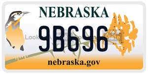 9B696  license plate in NE