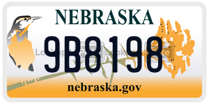 9B8198  license plate in NE
