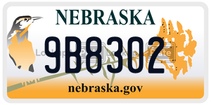 9B8302  license plate in NE