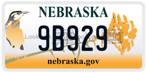9B929  license plate in NE