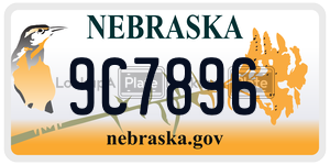 9C7896  license plate in NE