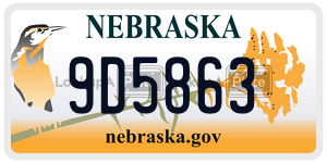 9D5863  license plate in NE