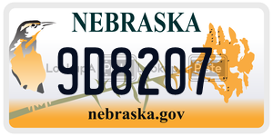 9D8207  license plate in NE