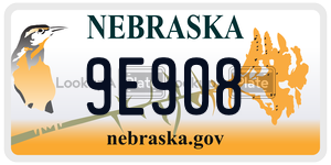 9E908  license plate in NE