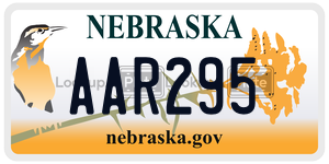 AAR295  license plate in NE