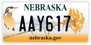 AAY617  license plate in NE