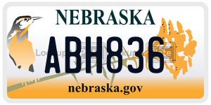 ABH836  license plate in NE