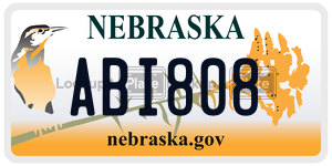 ABI808  license plate in NE