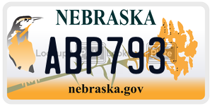 ABP793  license plate in NE