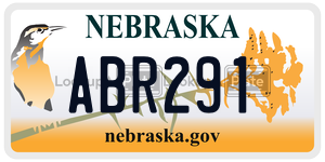 ABR291  license plate in NE