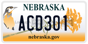 ACD301  license plate in NE
