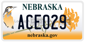 ACE029  license plate in NE