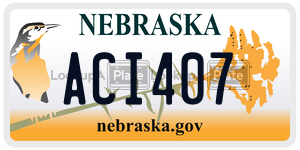ACI407  license plate in NE