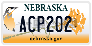 ACP202  license plate in NE