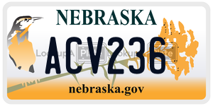 ACV236  license plate in NE