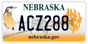 ACZ288  license plate in NE