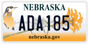 ADA185  license plate in NE