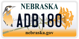 ADB180  license plate in NE