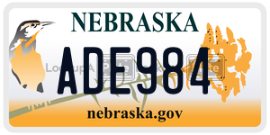 ADE984  license plate in NE