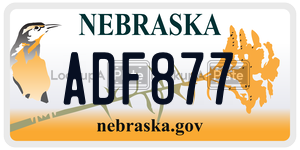 ADF877  license plate in NE