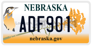 ADF901  license plate in NE
