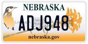 ADJ948  license plate in NE