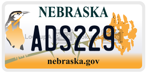 ADS229  license plate in NE