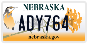 ADY764  license plate in NE