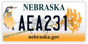 AEA231  license plate in NE