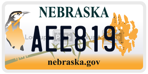 AEE819  license plate in NE