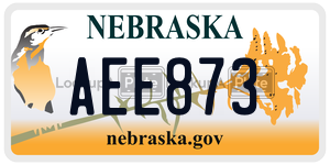 AEE873  license plate in NE