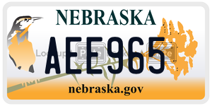 AEE965  license plate in NE