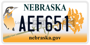 AEF651  license plate in NE